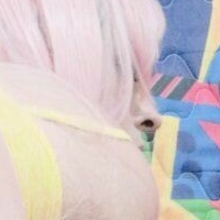 Darkwaifu Trap Nude